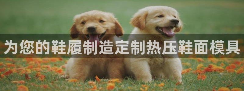 emc易倍黑吗