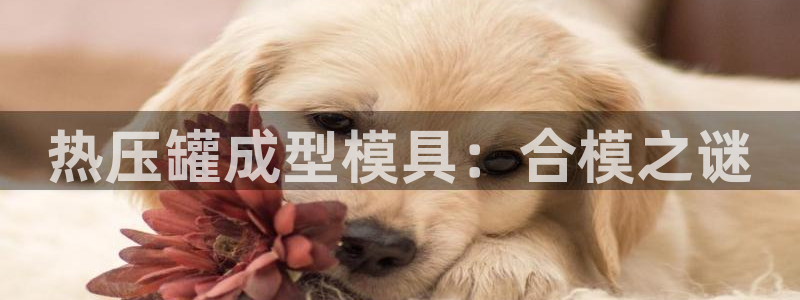 四川易倍易企业管理有限公司