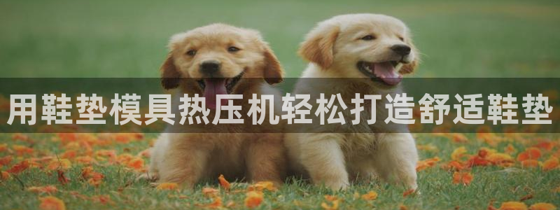 易倍申价格：用鞋垫模具热压机轻松打造舒适鞋垫