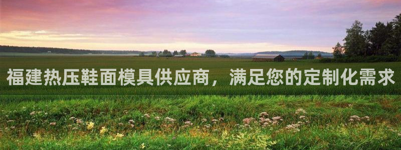emc易倍出空款：福建热压鞋面模具供应商，满足您的定制化