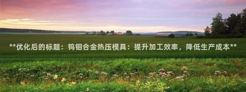 上海易倍投资有限公司：**优化后的标题：钨钼合金热压模具