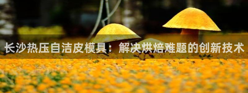 emc网页版