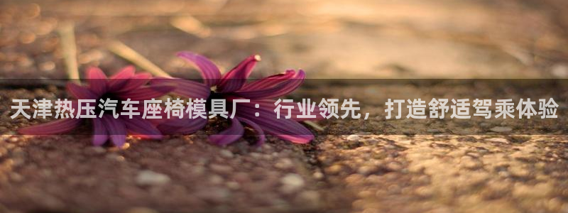 易倍网络技术有限公司招聘