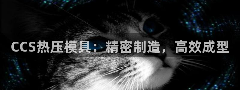 易倍单词官网下载
