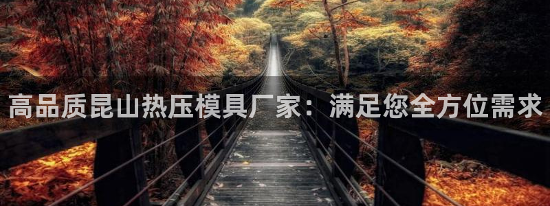 易倍达科技有限公司招聘：高品质昆山热压模具厂家：满足您全