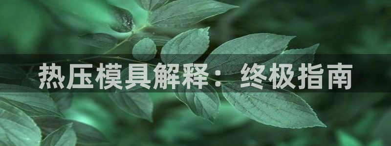 易倍单词官方网站下载安卓：热压模具解释：终极指南