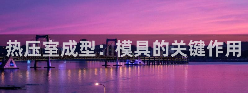 易倍申片说明书