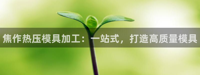易倍达科技有限公司怎么样