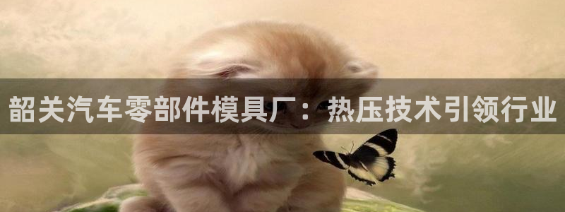 易倍申片说明书