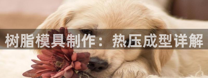易倍网页版登录
