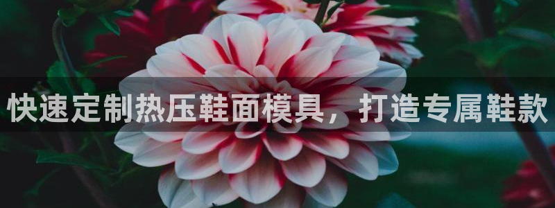emc易倍官网登录首页