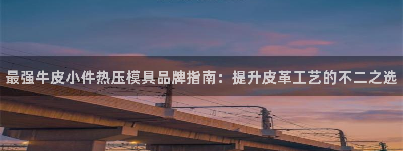 易倍纤减肥反弹不：最强牛皮小件热压模具品牌指南：提升皮革