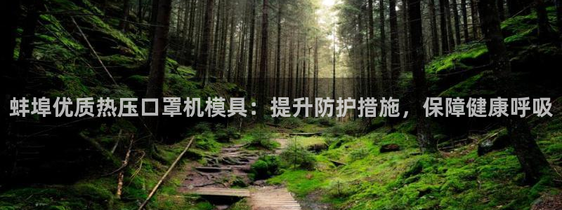 易倍单词软件：蚌埠优质热压口罩机模具：提升防护措施，保障