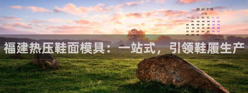 EMC倍频系数：福建热压鞋面模具：一站式，引领鞋履生产