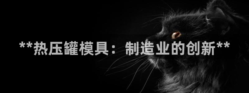 易倍达科技有限公司怎么样：**热压罐模具：制造业的创新*