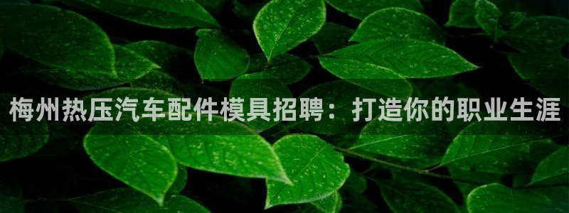 emc易倍官方平