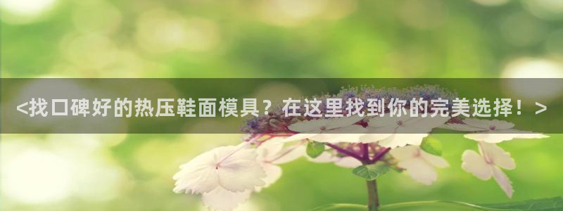EMC易倍