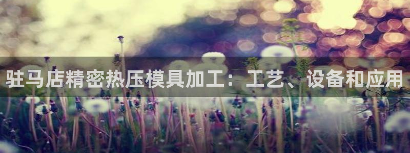 emc易倍全站官网：驻马店精密热压模具加工：工艺、设备和