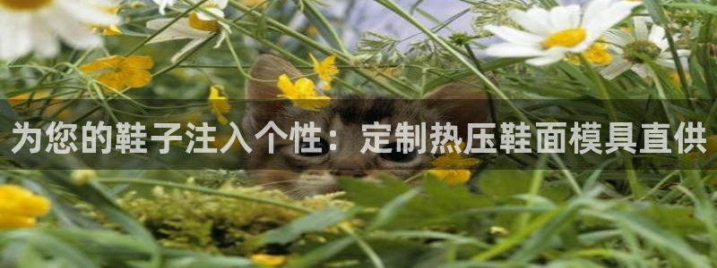 易倍网络技术有限公司官网