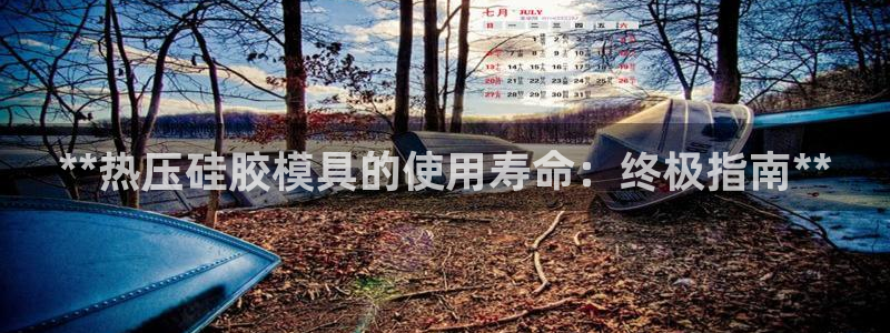 易倍思机电制造(上海)有限公司：**热压硅胶模具的使用寿