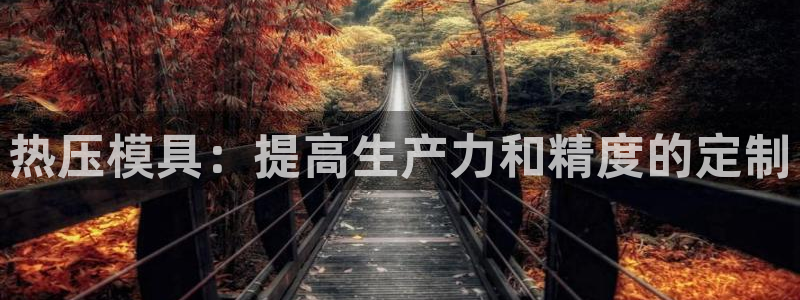 易倍易倍单词官方网站：热压模具：提高生产力和精度的定制