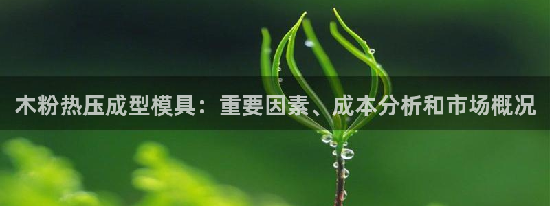 易倍申片的功效与作用：木粉热压成型模具：重要因素、成本分