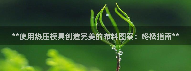 易倍单词登录网站：**使用热压模具创造完美的布料图案：终