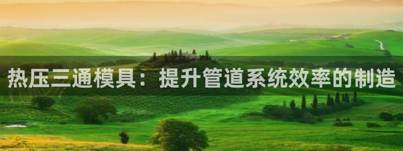 emc易倍在线登录：热压三通模具：提升管道系统效率的制造