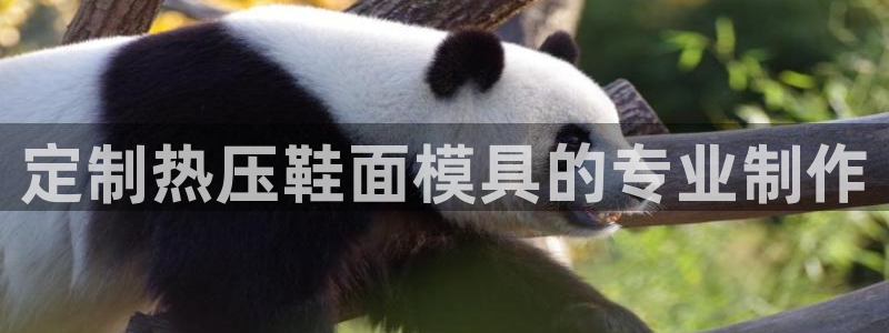 易倍申价格：定制热压鞋面模具的专业制作