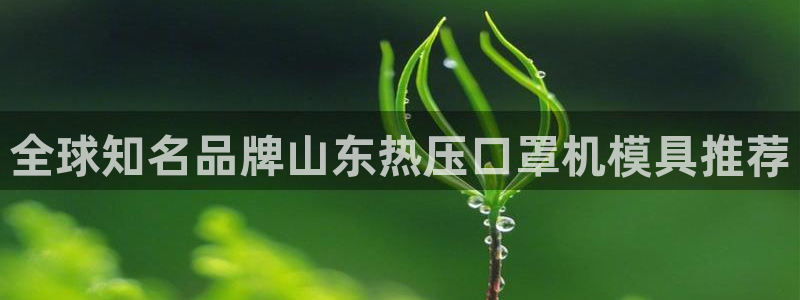 易倍申的包装规格：全球知名品牌山东热压口罩机模具推荐