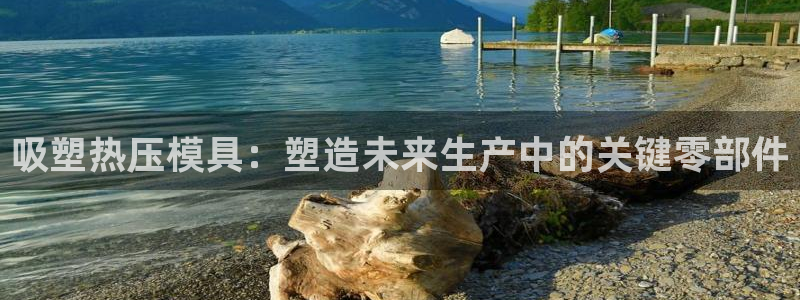 易倍单词官网下载：吸塑热压模具：塑造未来生产中的关键零部