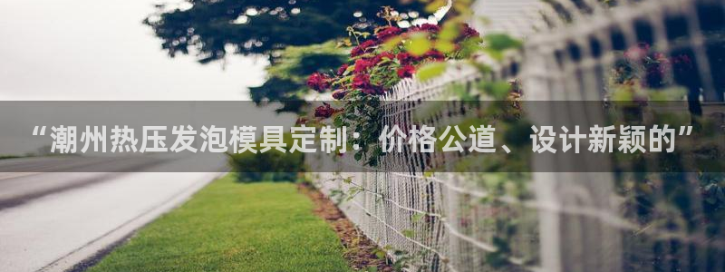 易倍申多少钱一盒：“潮州热压发泡模具定制：价格公道、设计