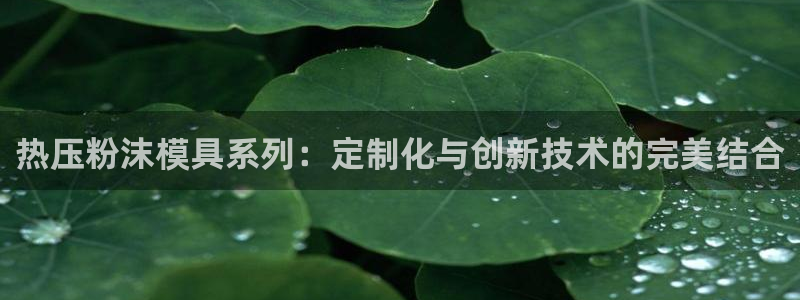 易倍申的包装规格：热压粉沫模具系列：定制化与创新技术的完