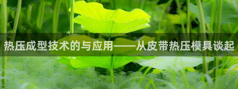 易倍申是进口药吗：热压成型技术的与应用——从皮带热压模具