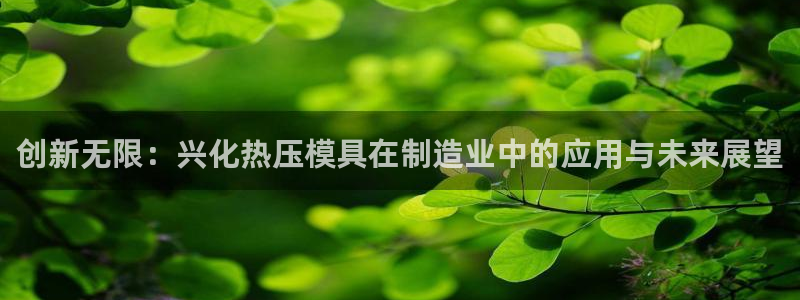 emc app下载：创新无限：兴化热压模具在制造业中的应