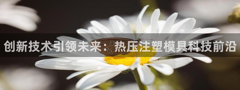 杭州易倍达：创新技术引领未来：热压注塑模具科技前沿