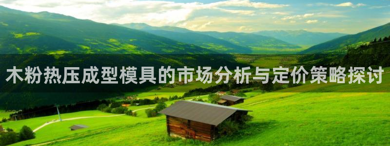易倍纤谷物粉效果好吗：木粉热压成型模具的市场分析与定价策