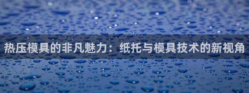 emc参数：热压模具的非凡魅力：纸托与模具技术的新视角