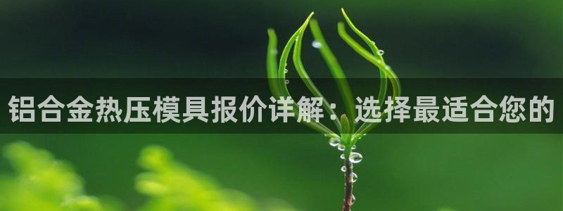 易倍申片：铝合金热压模具报价详解：选择最适合您的