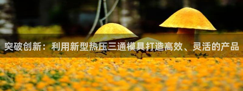 emc易倍首存500送球衣：突破创新：利用新型热压三通模