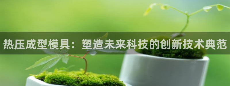易倍申上市时间：热压成型模具：塑造未来科技的创新技术典范