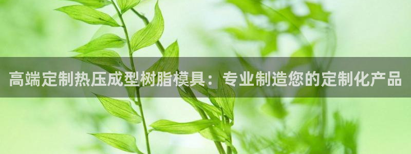 易倍单词登录平台：高端定制热压成型树脂模具：专业制造您的