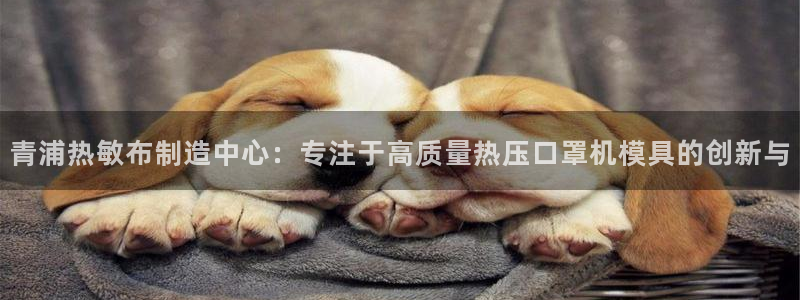emc备份软件：青浦热敏布制造中心：专注于高质量热压口罩