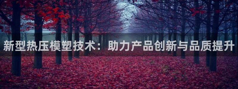 易倍申服用方法：新型热压模塑技术：助力产品创新与品质提升