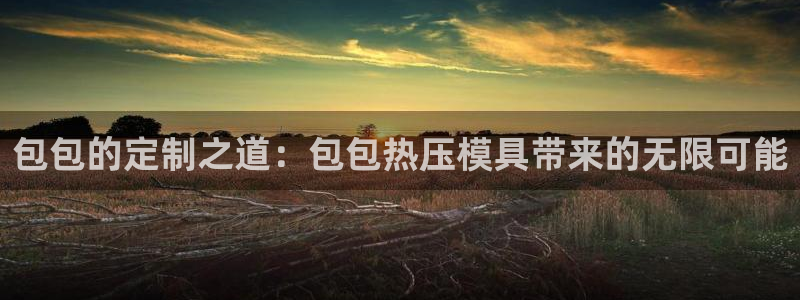 易倍emc安全吗：包包的定制之道：包包热压模具带来的无限