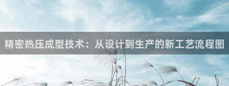 杭州易倍达科技有限公司怎么样：精密热压成型技术：从设计到