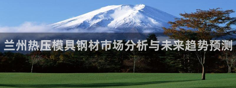 易倍emc网址网页版本登陆：兰州热压模具钢材市场分析与未