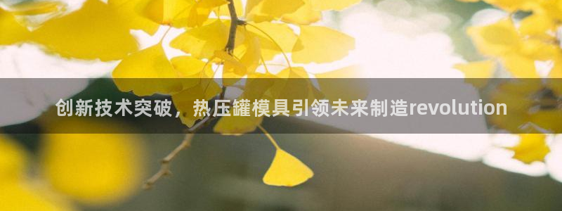 emc备份软件：创新技术突破，热压罐模具引领未来制造re