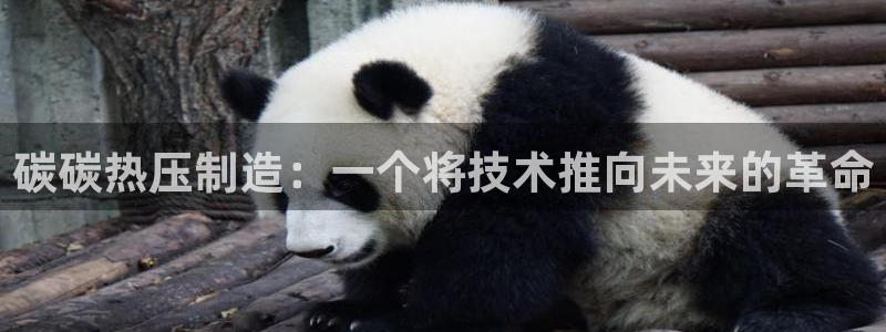 杭州易倍达：碳碳热压制造：一个将技术推向未来的革命