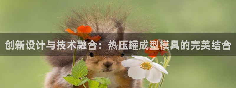 易倍达科技有限公司怎么样：创新设计与技术融合：热压罐成型